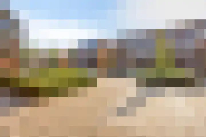 Librije 5 Horst thumbnail 34