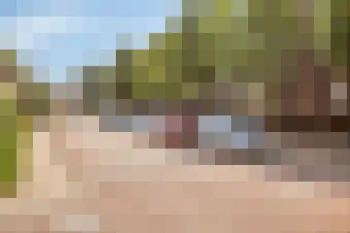 Librije 5 Horst thumbnail 35