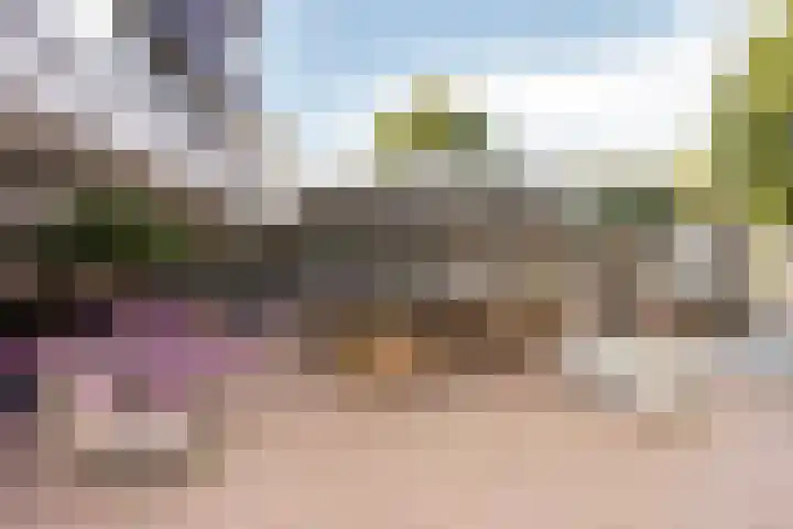 Librije 5 Horst thumbnail 36