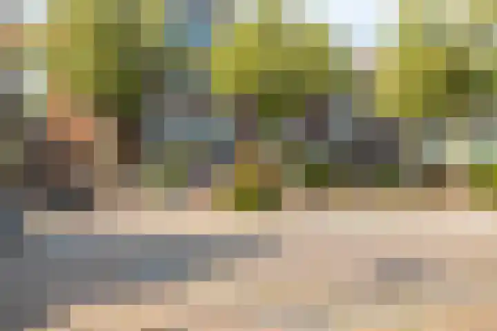 Librije 5 Horst thumbnail 37