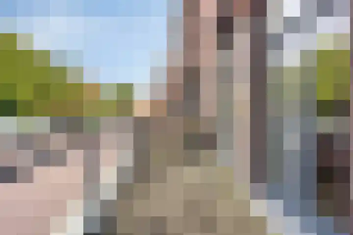 Librije 5 Horst thumbnail 4