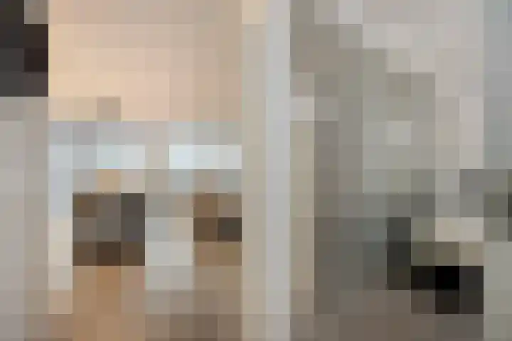 Librijesteeg 301 Rotterdam thumbnail 10