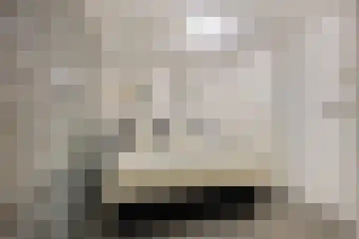 Librijesteeg 301 Rotterdam thumbnail 14