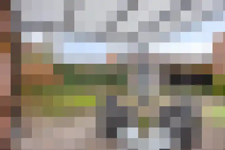 Librijesteeg 301 Rotterdam thumbnail 16