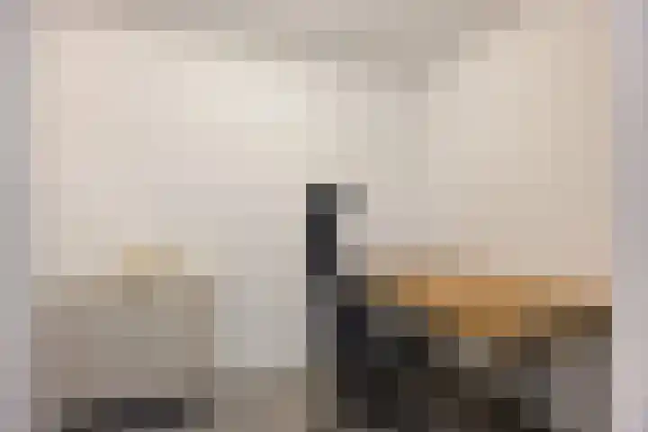 Librijesteeg 301 Rotterdam thumbnail 18