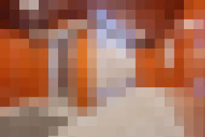 Librijesteeg 301 Rotterdam thumbnail 20