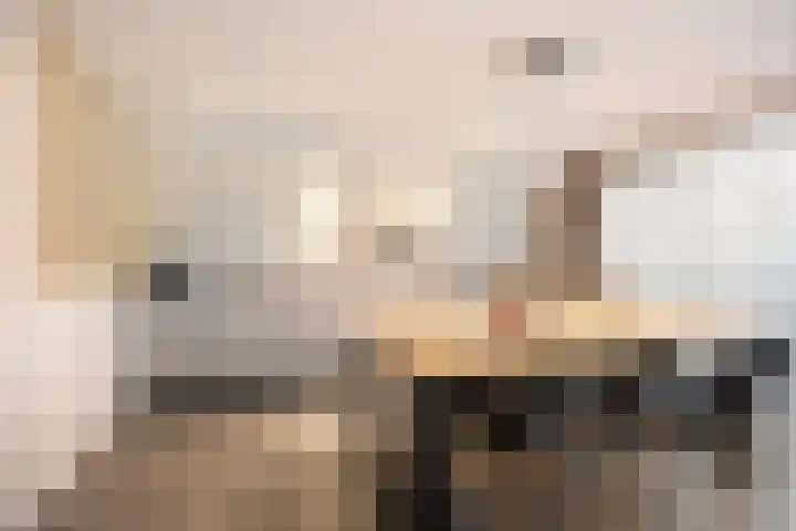 Librijesteeg 301 Rotterdam thumbnail 4