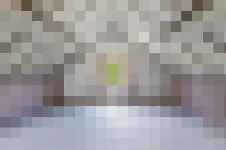 Librijesteeg 301 Rotterdam thumbnail 9