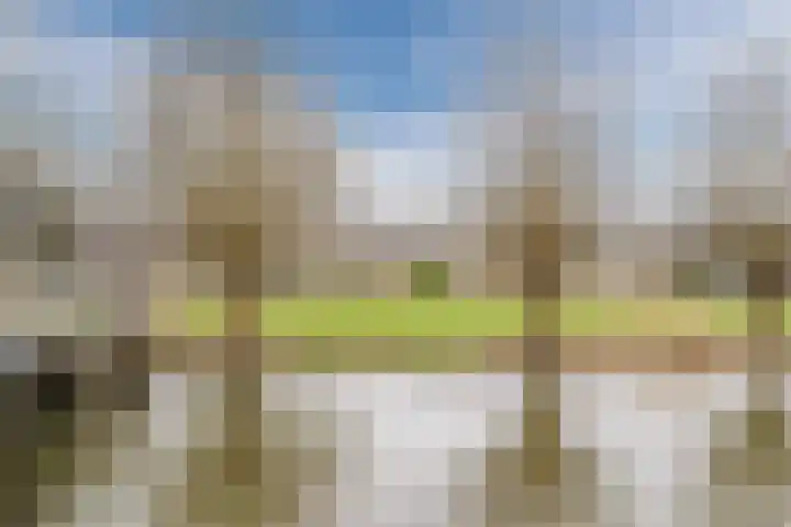 Lichtboei 30 Amstelveen thumbnail 46