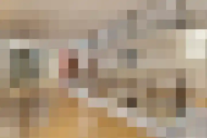 Lichtstraat 46 Eindhoven thumbnail 12