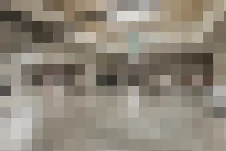 Lichtstraat 46 Eindhoven thumbnail 32