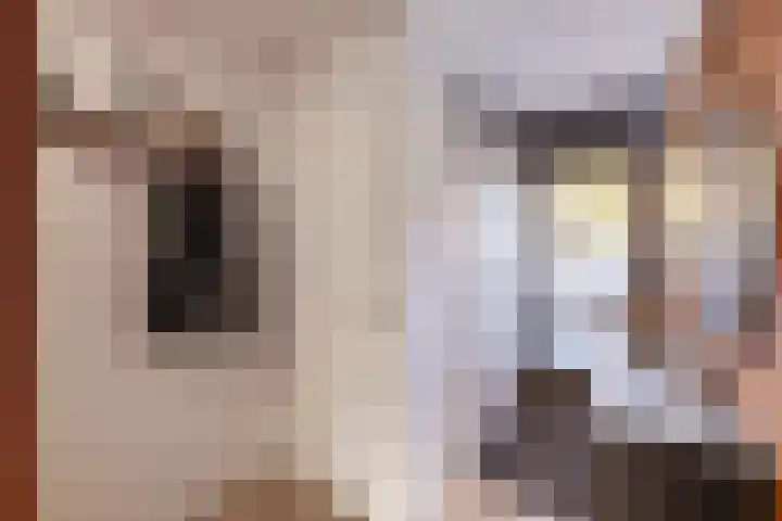 Lichtwachter 20 Ens thumbnail 13