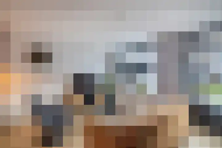 Lichtwachter 20 Ens thumbnail 15