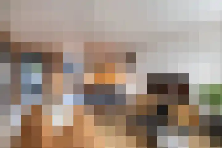 Lichtwachter 20 Ens thumbnail 18