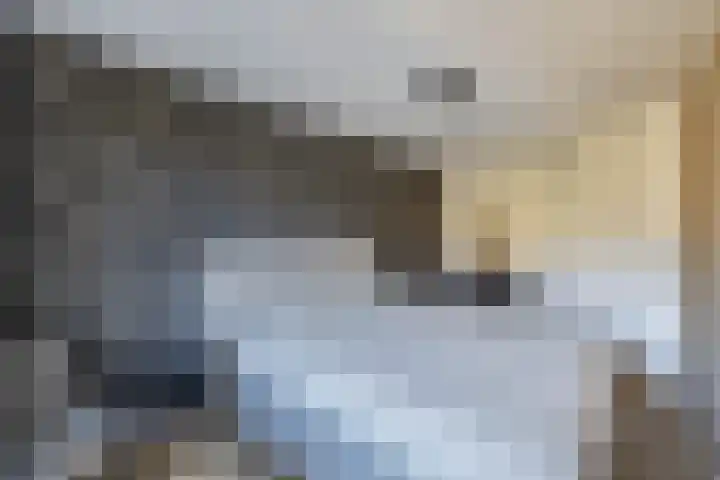 Lichtwachter 20 Ens thumbnail 33