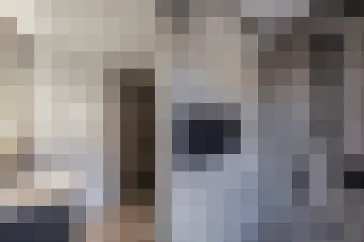 Lichtwachter 20 Ens thumbnail 4