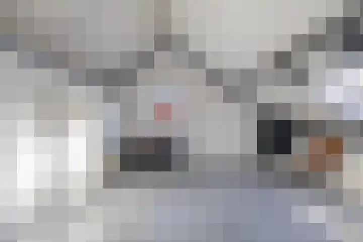 Lichtwachter 20 Ens thumbnail 41