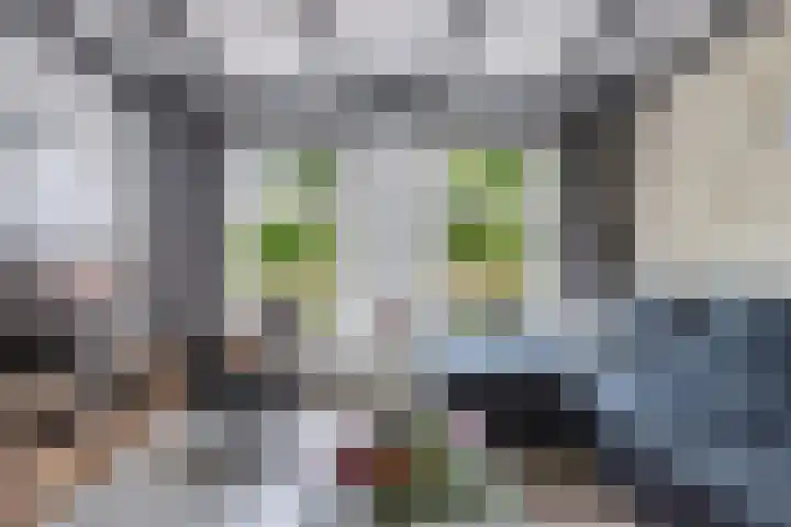 Lidlumerwei 12 Oosterbierum thumbnail 10