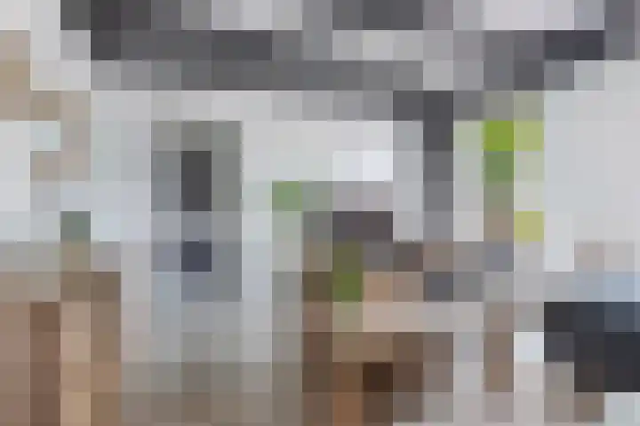 Lidlumerwei 12 Oosterbierum thumbnail 13