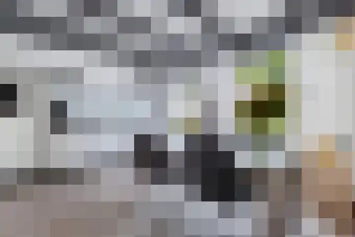 Lidlumerwei 12 Oosterbierum thumbnail 14