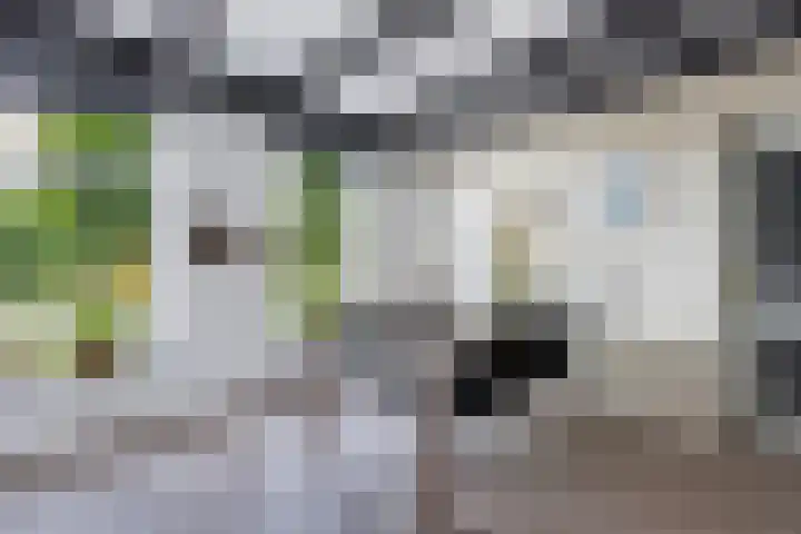 Lidlumerwei 12 Oosterbierum thumbnail 15