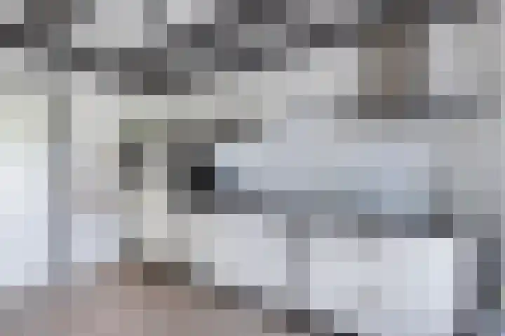 Lidlumerwei 12 Oosterbierum thumbnail 21