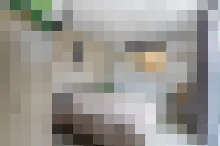 Lidlumerwei 12 Oosterbierum thumbnail 23