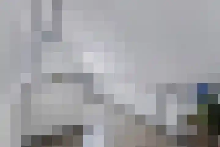 Lidlumerwei 12 Oosterbierum thumbnail 29