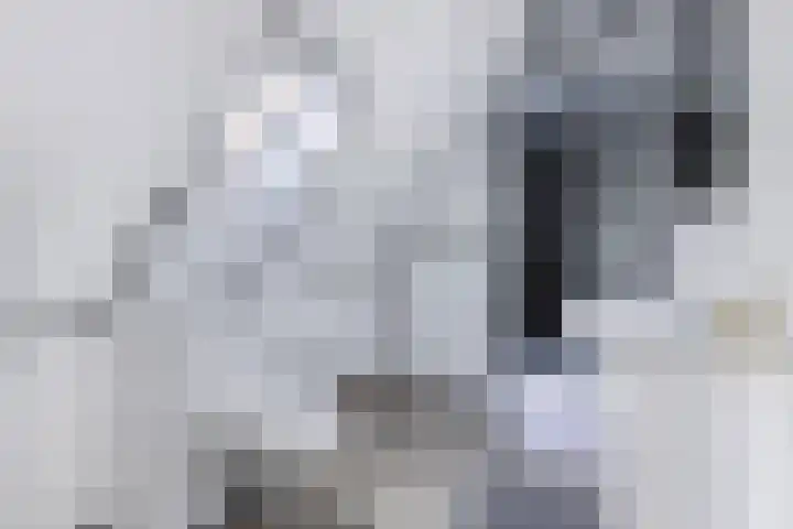 Lidlumerwei 12 Oosterbierum thumbnail 31