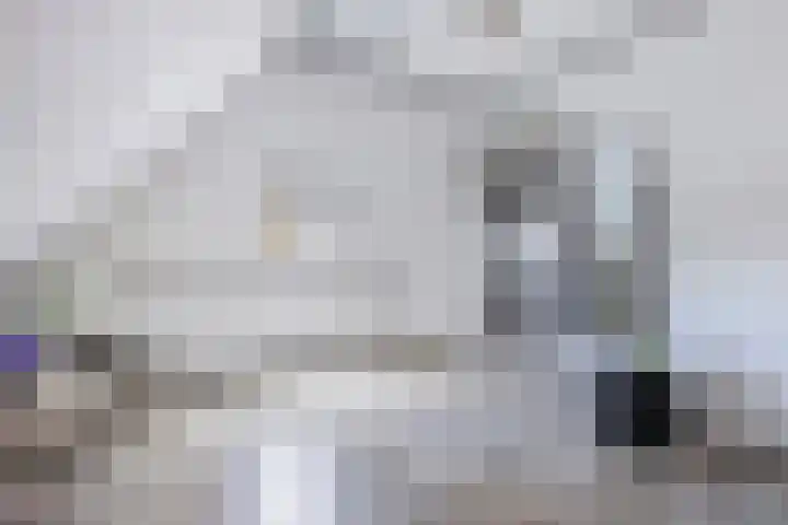 Lidlumerwei 12 Oosterbierum thumbnail 33