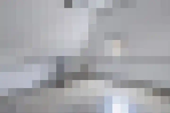 Lidlumerwei 12 Oosterbierum thumbnail 35