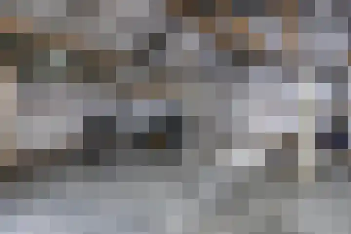 Lidlumerwei 12 Oosterbierum thumbnail 4