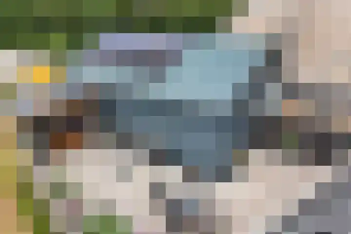 Lidlumerwei 12 Oosterbierum thumbnail 41