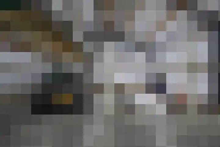 Lidlumerwei 12 Oosterbierum thumbnail 43