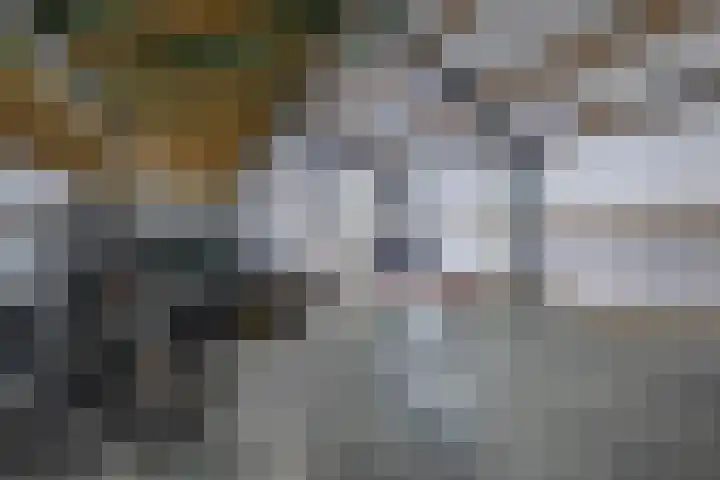 Lidlumerwei 12 Oosterbierum thumbnail 44