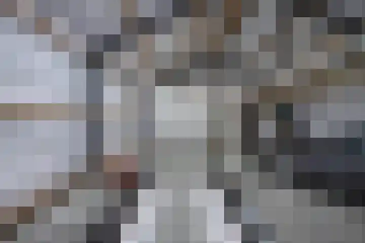 Lidlumerwei 12 Oosterbierum thumbnail 45