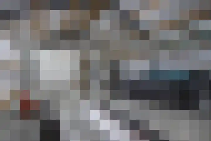 Lidlumerwei 12 Oosterbierum thumbnail 46