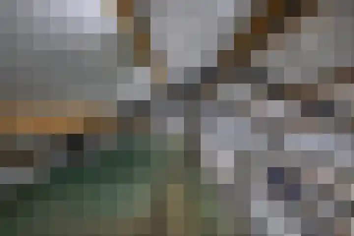 Lidlumerwei 12 Oosterbierum thumbnail 48