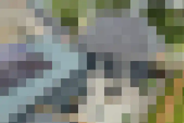 Lidlumerwei 12 Oosterbierum thumbnail 57
