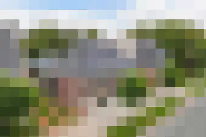 Lidlumerwei 12 Oosterbierum thumbnail 59