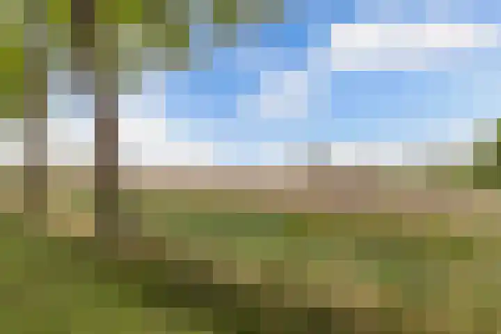 Lidlumerwei 12 Oosterbierum thumbnail 64
