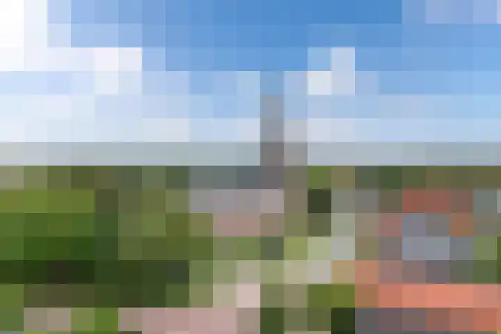 Lidlumerwei 12 Oosterbierum thumbnail 65