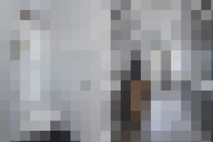 Lidlumerwei 12 Oosterbierum thumbnail 8