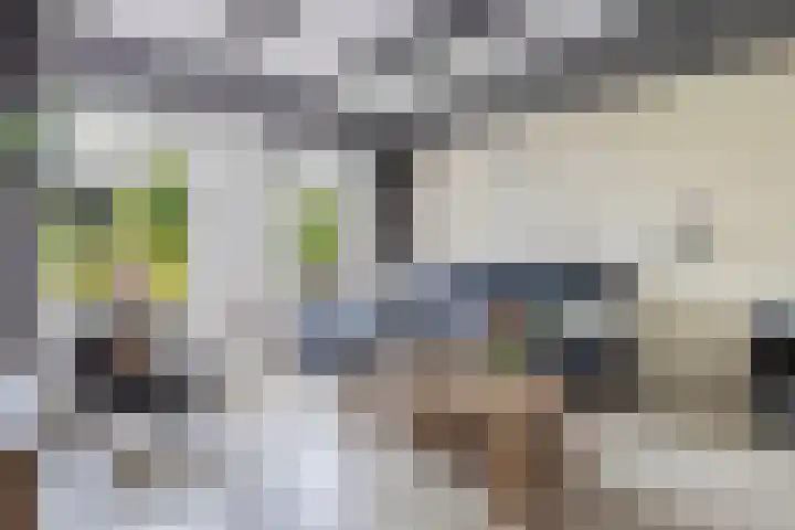Lidlumerwei 12 Oosterbierum thumbnail 9