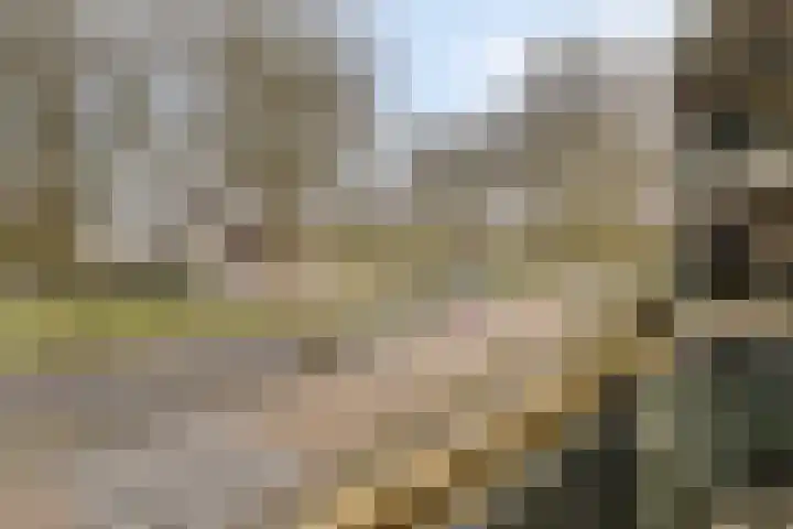 Liduinapark 120 Hulst thumbnail 17