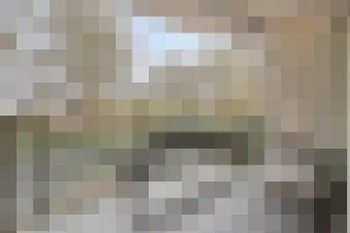 Liduinapark 120 Hulst thumbnail 5