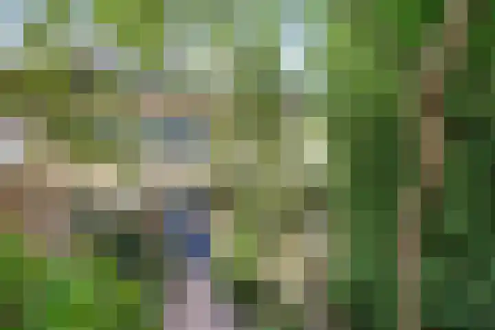 Lidwinastraat 10 Bemmel thumbnail 18