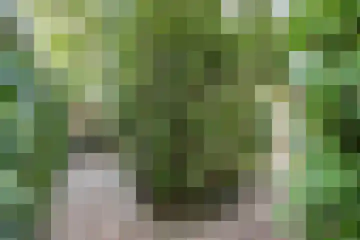 Lidwinastraat 10 Bemmel thumbnail 22