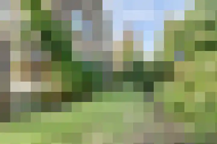 Lidwinastraat 10 Bemmel thumbnail 24