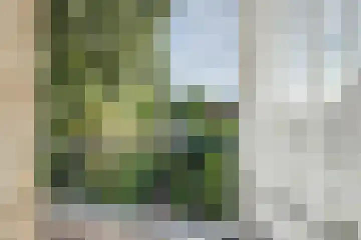 Lidwinastraat 10 Bemmel thumbnail 40